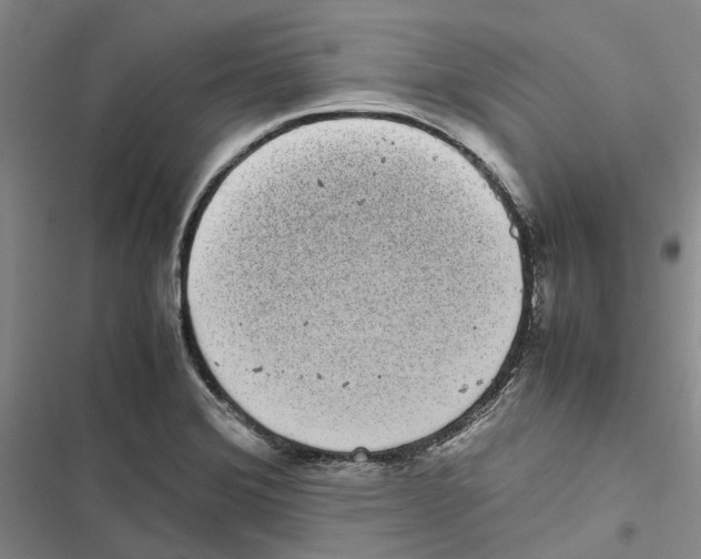 X0000116841372201001151238