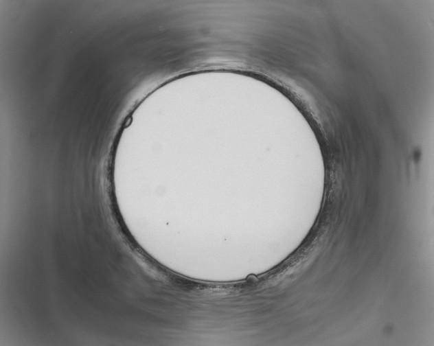 X0000116841373201001151238