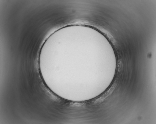 X0000116841374201001151238