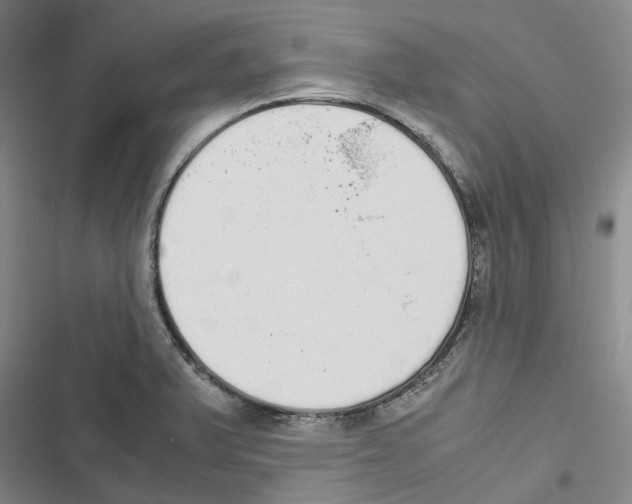 X0000116841375201001151238