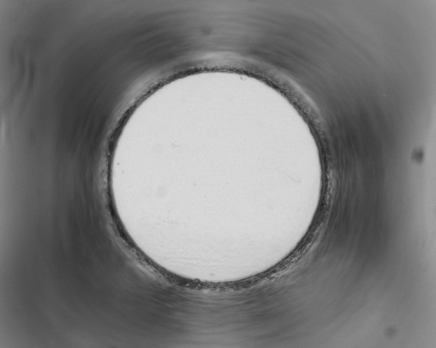 X0000116841376201001151238