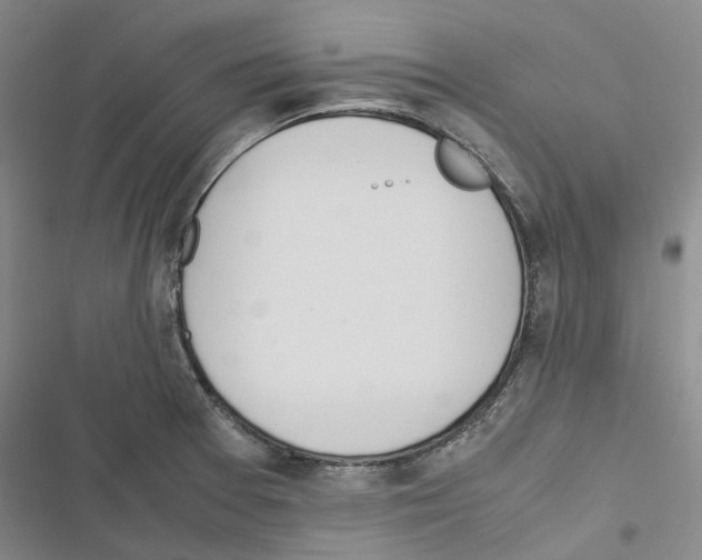 X0000116841377201001151238