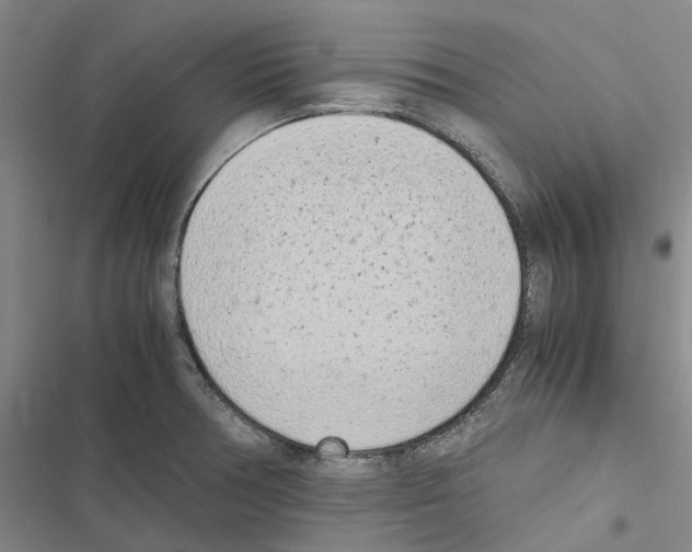 X0000116841378201001151238