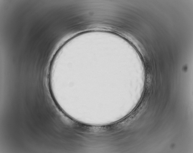 X0000116841379201001151238