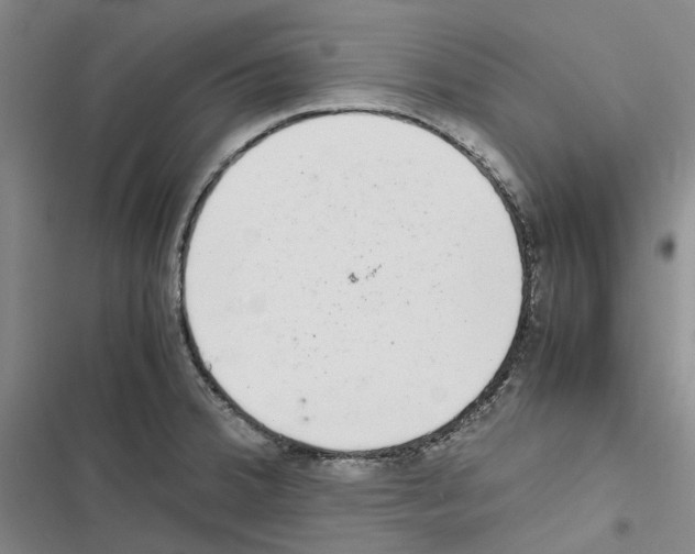 X0000116841380201001151238