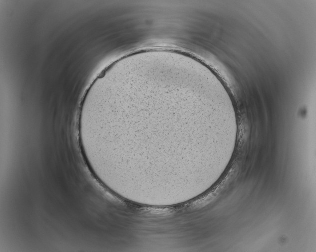 X0000116841382201001151238