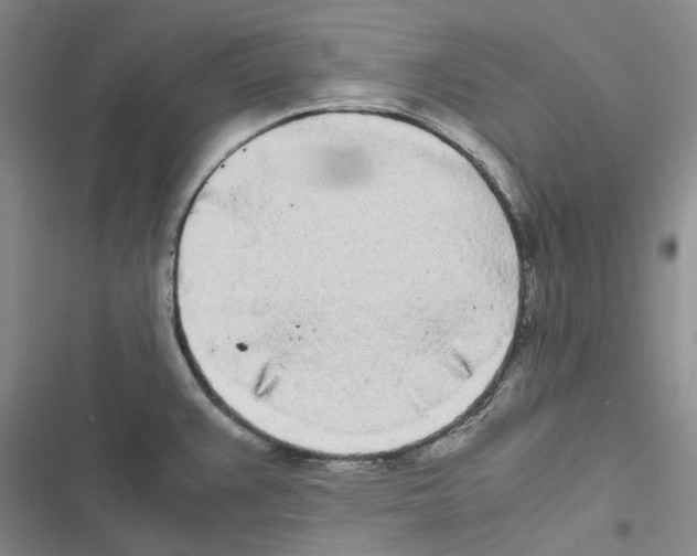 X0000116841383201001151238