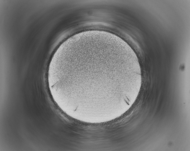 X0000116841384201001151238