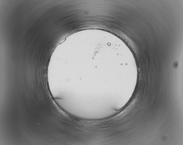 X0000116841385201001151238