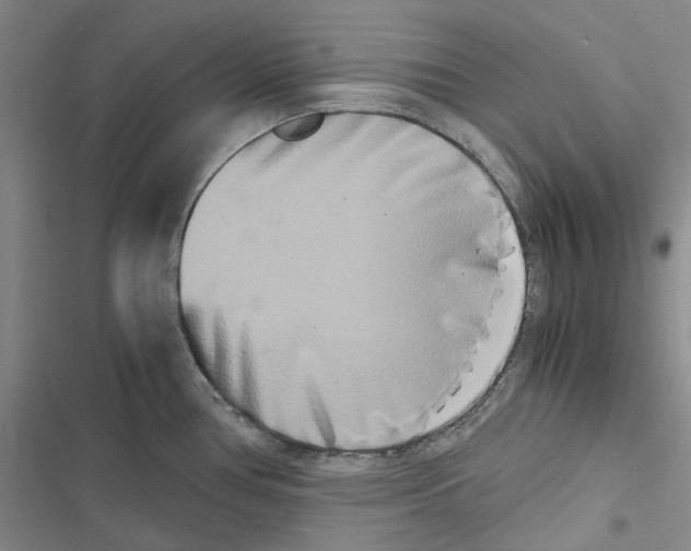 X0000116841386201001151238