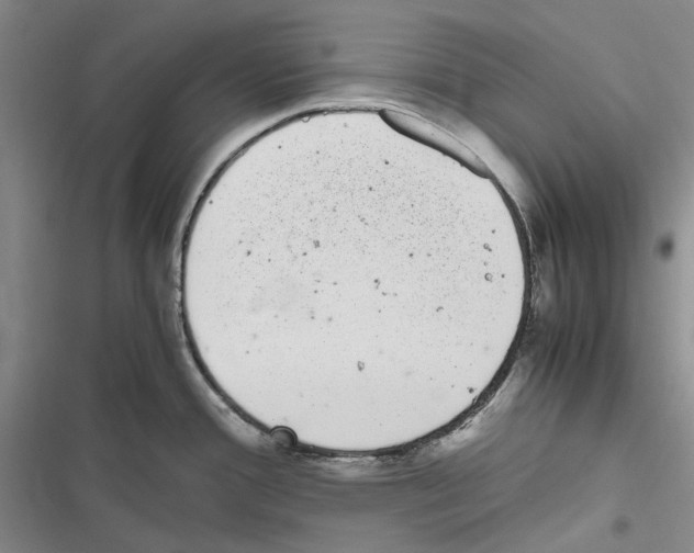 X0000116841388201001151238