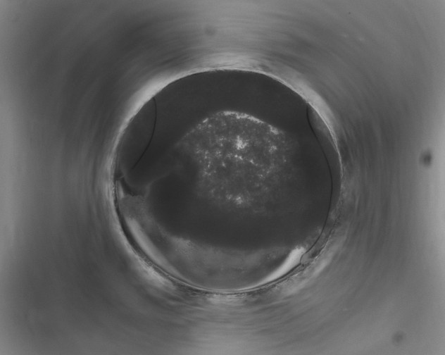 X0000116841389201001151238