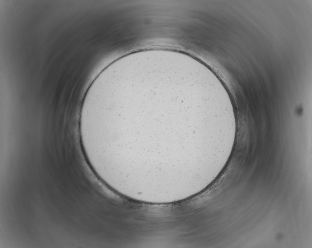 X0000116841390201001151238