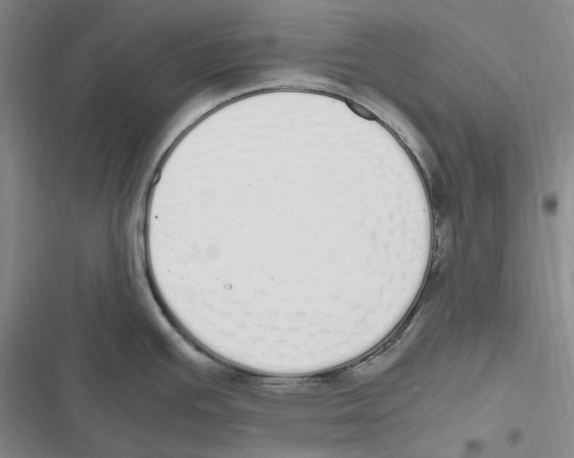 X0000116841391201001151238