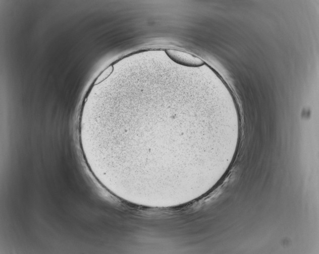 X0000116841392201001151238