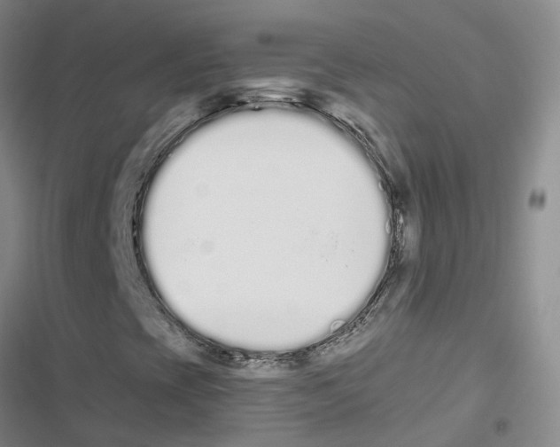 X0000116841393201001151237