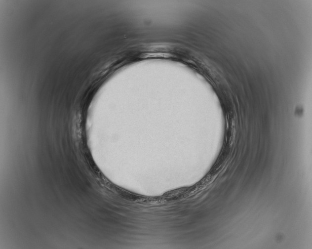 X0000116841394201001151237