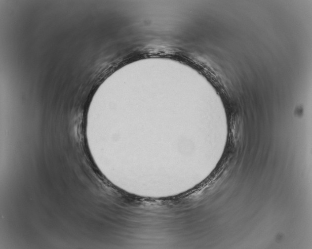 X0000116841396201001151237