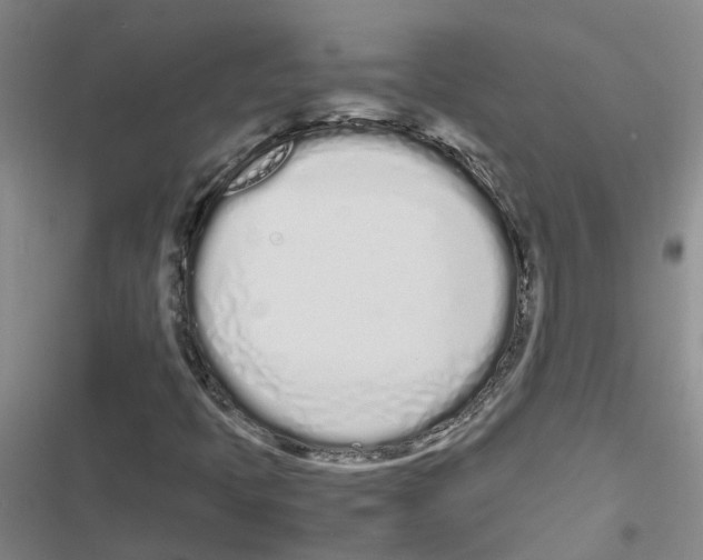 X0000116841397201001151237