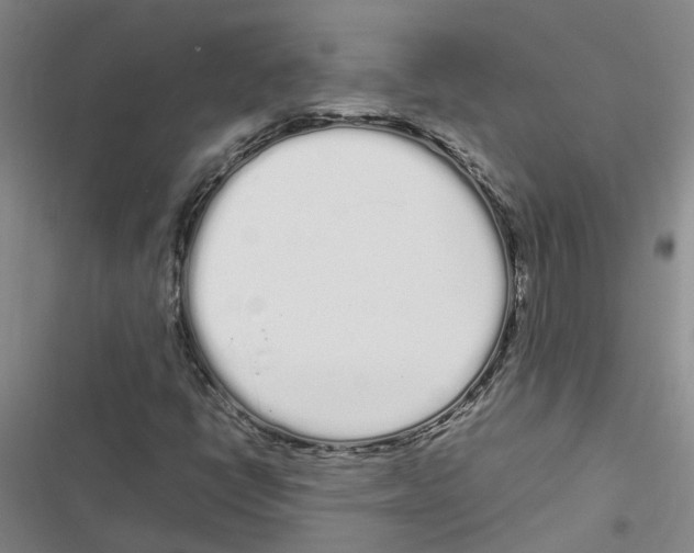 X0000116841398201001151237