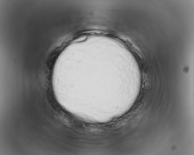 X0000116841399201001151237