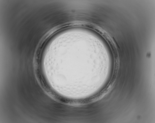 X0000116841401201001151237