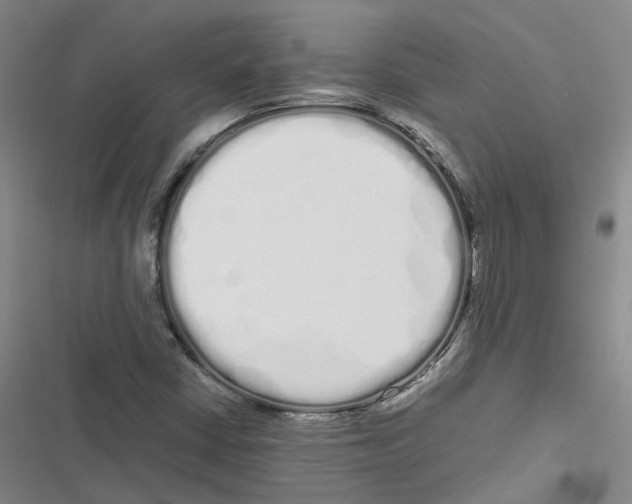 X0000116841402201001151237