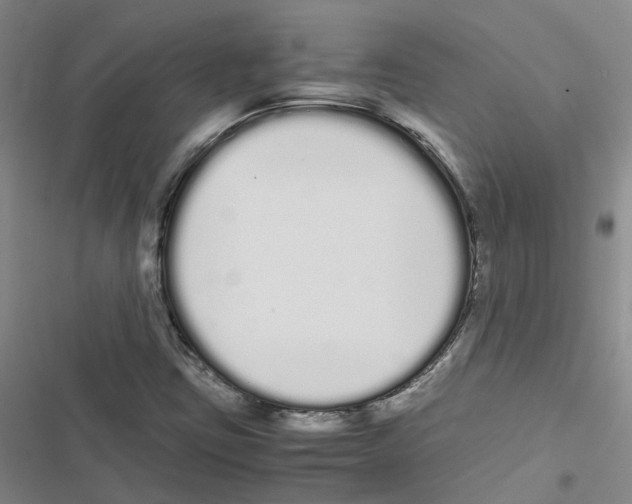 X0000116841403201001151237