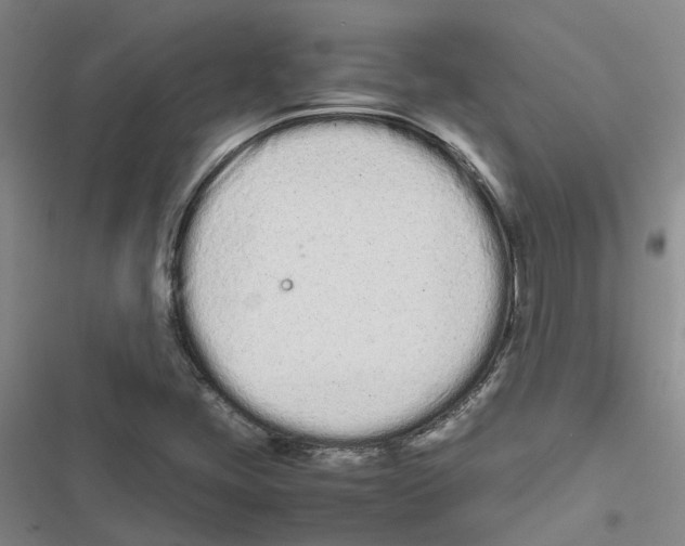 X0000116841405201001151237