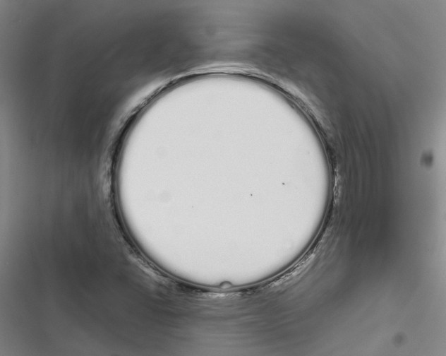 X0000116841406201001151237