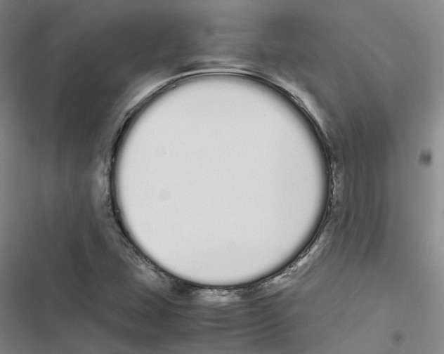 X0000116841407201001151237