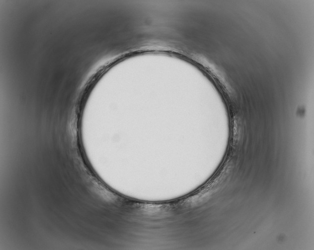 X0000116841408201001151237