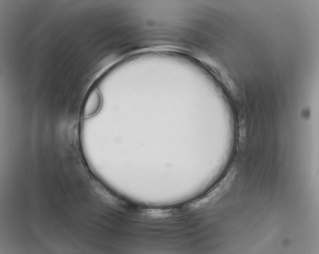 X0000116841409201001151237