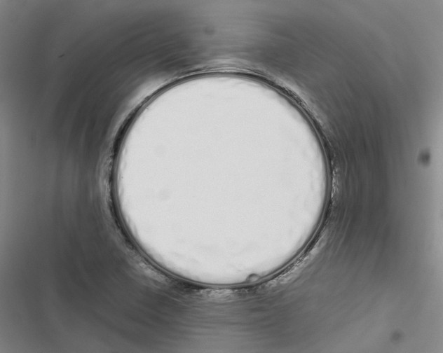 X0000116841410201001151237