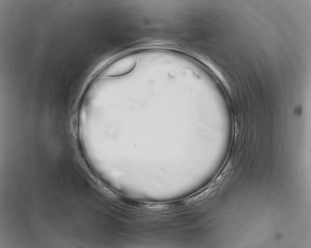 X0000116841413201001151237