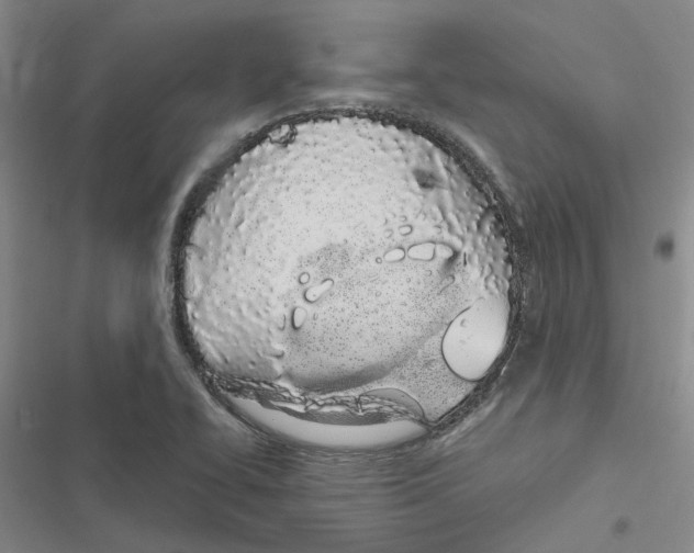 X0000116841414201001151237