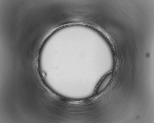 X0000116841415201001151237