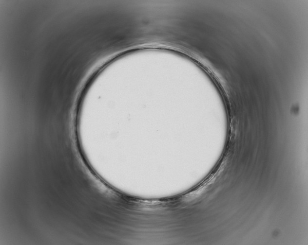 X0000116841416201001151238