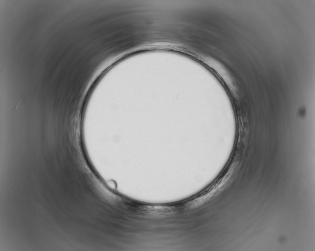 X0000116841420201001151238