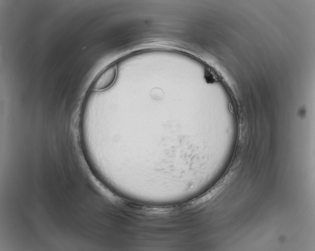 X0000116841421201001151238