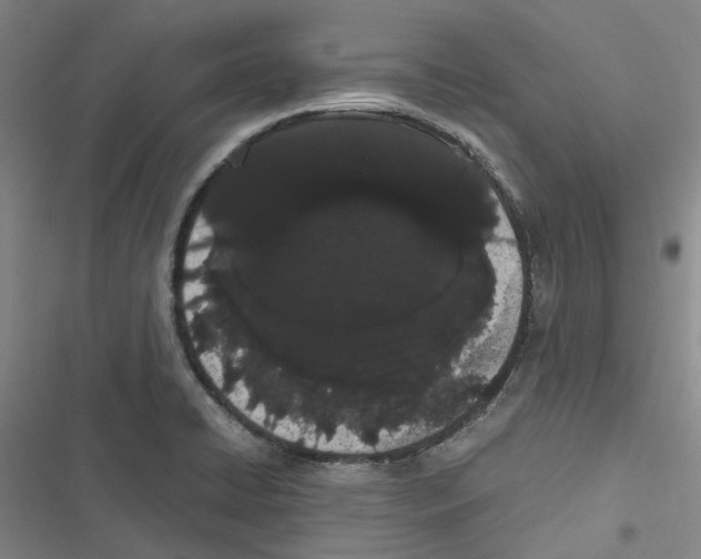 X0000116841422201001151238