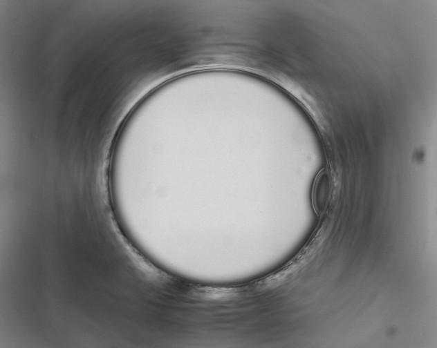 X0000116841423201001151238