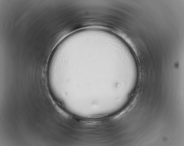 X0000116841425201001151238