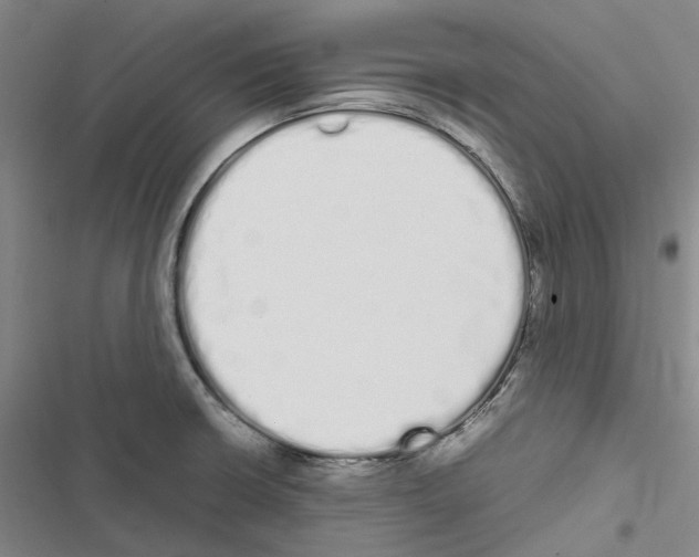 X0000116841426201001151238