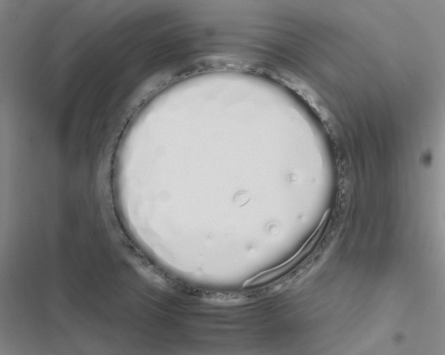 X0000116841427201001151238