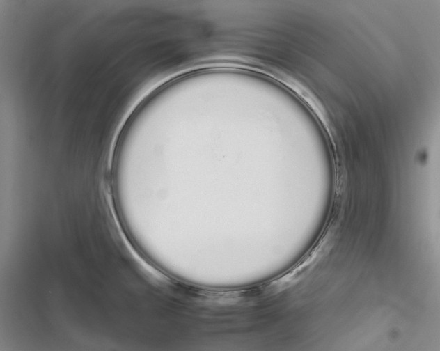 X0000116841429201001151238