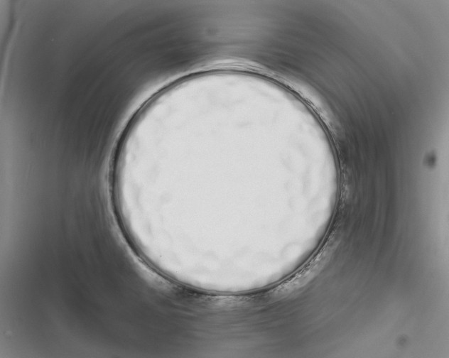 X0000116841430201001151238