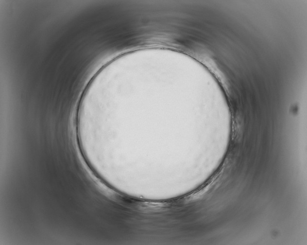 X0000116841431201001151238