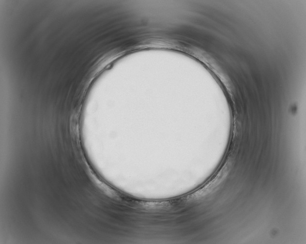 X0000116841433201001151238