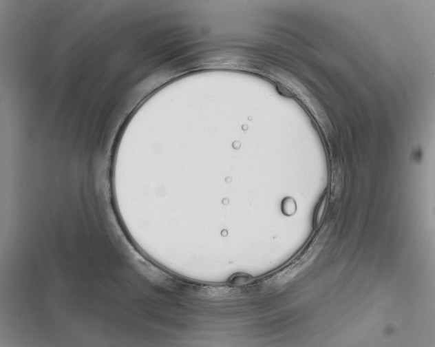 X0000116841434201001151238